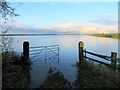 TL4279 : Open gate at Sutton Gault - The Ouse Washes by Richard Humphrey