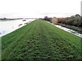 TL4381 : Footpath on the river bank near Mepal - The Ouse Washes by Richard Humphrey