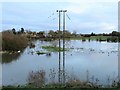 TL4381 : Poles in the flood water near Mepal - The Ouse Washes by Richard Humphrey