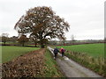 SN6556 : Llwybr ger Ochr Garth / Path near Ochr Garth by Alan Richards