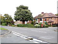 TL5481 : Lynton Drive, Ely by Geographer