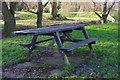 SO8377 : Picnic table, Springfield Park, Kidderminster, Worcs by P L Chadwick