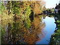 SO8171 : Trees reflected in the canal by Philip Halling