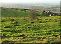 ST7367 : Slopes of Lansdown by Derek Harper