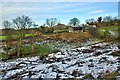 NZ5811 : Gribdale Stables, Dikes Lane by Mick Garratt