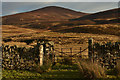 NC9314 : Beinn Mhealaich, Sutherland by Andrew Tryon