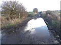 NZ0460 : Large puddle on the byway by Oliver Dixon