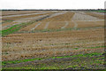 TL5997 : Harvested fields near Ten Mile Bank by Bill Boaden