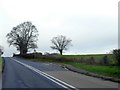 ST3101 : Bus stop on A358 by David Smith