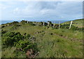 SN0541 : Pembrokeshire Coast Path at Pen Morfa by Mat Fascione