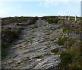 SN0441 : Steep rocky section of the Pembrokeshire Coast Path by Mat Fascione