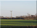 TL5904 : Telegraph poles near Ongar by Malc McDonald