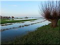 TL2798 : Calm water on Whittlesey Wash - The Nene Washes by Richard Humphrey