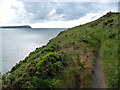 SN0541 : Pembrokeshire Coast Path at Newport Bay by Mat Fascione