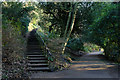 NZ2666 : Path and steps in Jesmond Dene by Trevor Littlewood