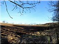 NZ0750 : Ploughed field near Allensford by Robert Graham