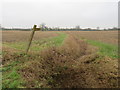 TL4727 : Public footpath near Manuden by Malc McDonald