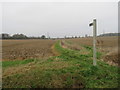 TL4727 : Public footpath near Manuden by Malc McDonald