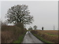 TL4627 : Country lane near Manuden by Malc McDonald