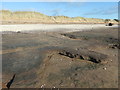 NX9255 : Sand, mud and shells on Mersehead beach by Christine Johnstone