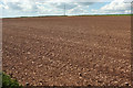 SX7546 : Tilled field near Knighton Farm by Derek Harper