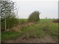 TL4131 : Public footpath near Anstey by Malc McDonald