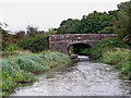 SJ9453 : Plant's Bridge west of Hazelhurst Junction, Staffordshire by Roger  D Kidd