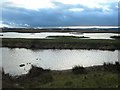 SJ3173 : Scrape beyond Reception pool, RSPB Burton Mere Wetlands by Christine Johnstone