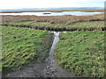 SJ2778 : The Dee estuary at Parkgate, just after low tide by Christine Johnstone