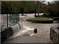 H4672 : Camowen River overflowing at the Lovers Retreat by Kenneth  Allen