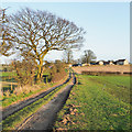 SE7189 : Farm road heading towards Spaunton by Trevor Littlewood