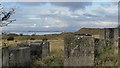 NT4682 : Anti-tank blocks, Gullane Links, East Lothian by Claire Pegrum