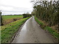 TM1082 : A drain, hedge and tree enclose Darrow Wood Lane by Peter Wood