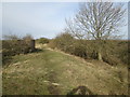 TF4889 : Path  passing  Pill  Box  in  Theddlethorpe  Nature  Reserve by Martin Dawes