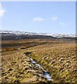 NY8445 : Snow in groove below Dodd Reservoir by Trevor Littlewood