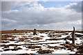 NY8144 : Summit area of Killhope Law by Trevor Littlewood