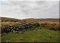 NS8121 : Disused sheepfold near Whitecleuch by Alan O'Dowd