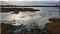 TM2222 : Kirby-le-Soken: Salt marsh and creeks north of Kirby Quay by Nigel Cox