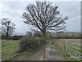 TQ5545 : A muddy footpath at Haysden Country Park by Marathon