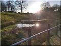 TQ5940 : Low Sunshine over the Boardwalk by John P Reeves