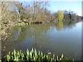 TQ5156 : The West Lake at Sevenoaks Wildlife Reserve by Marathon