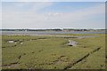 TM2231 : Salt marsh, Stour estuary (set of 2 images) by N Chadwick