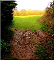 ST3090 : Muddy end of a track from Westfield Way, Malpas, Newport by Jaggery