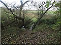 NZ2282 : Footbridge crossing Netherton Letch by Graham Robson