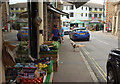 SX8178 : Fore Street, Bovey Tracey by Derek Harper