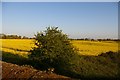 TM3964 : View south-east off Lowes Hill railway bridge by Christopher Hilton