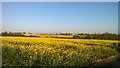 TM3964 : Looking towards the railway from Lowes Hill by Helena Hilton