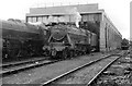 SH7977 : Llandudno Junction locomotive shed, 1962 by Alan Murray-Rust