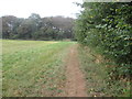 TF7441 : Field  edge  footpath  toward  woodland  copse by Martin Dawes