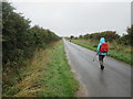 TF7442 : Choseley  Road  long  straight  and  wet  toward  Thornham by Martin Dawes